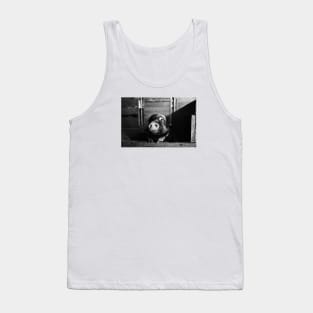 Minipic Pig II / Swiss Artwork Photography Tank Top